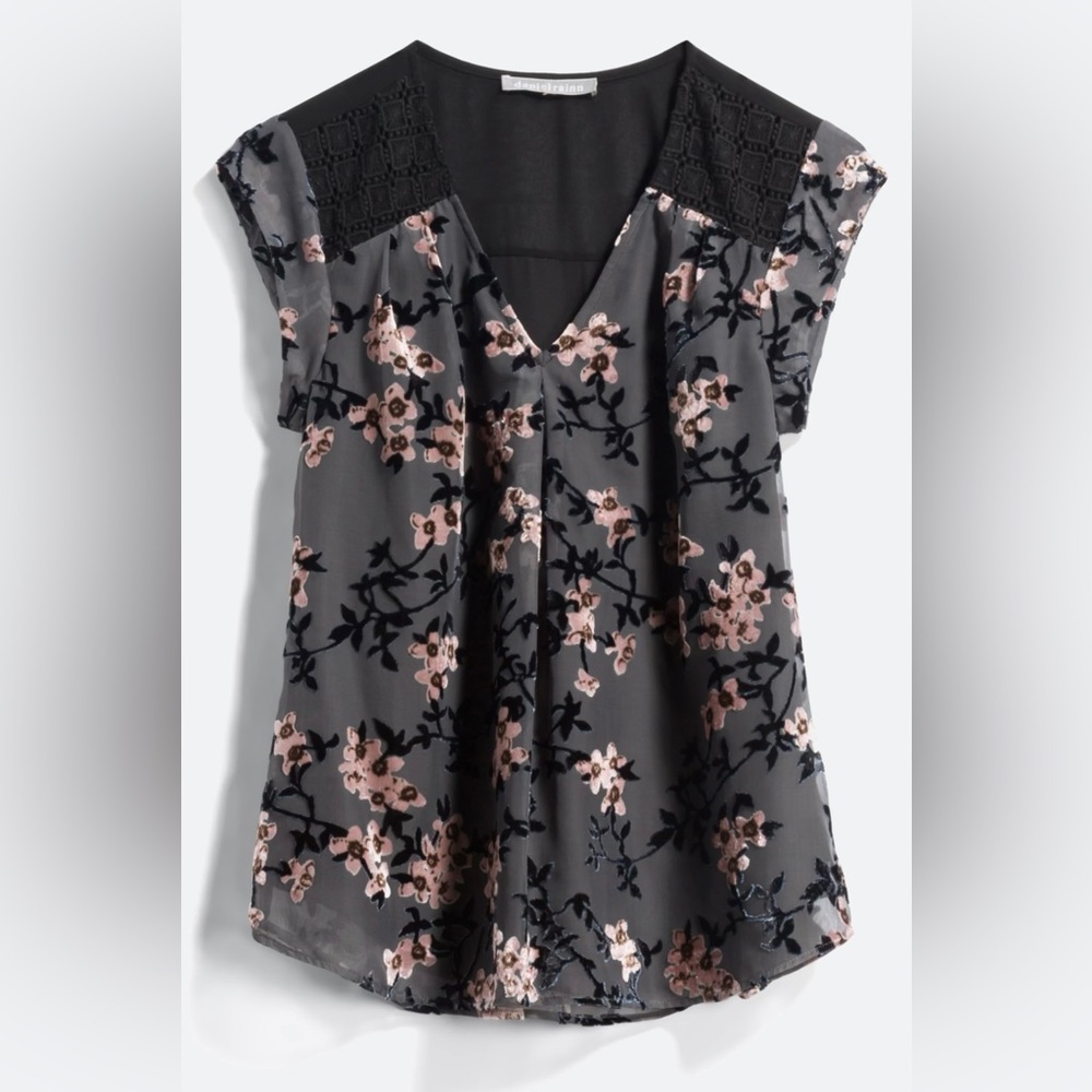 Daniel Rainn Grata Velvet Burnout Blouse - S